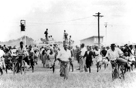  La Révolte de Sharpeville: Une Expression Tragique du Ségrégationnisme et un Catalyseur pour le Changement Social en Afrique du Sud